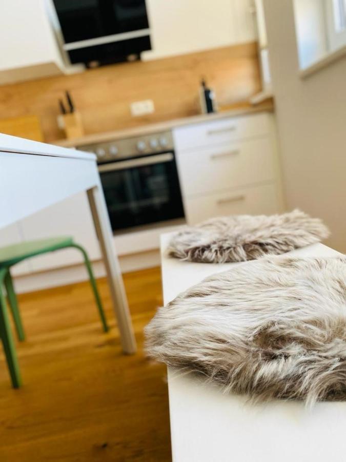 Vinestia Cityloft Storchenblick, Non-Serviced Appartement Leibnitz Kültér fotó